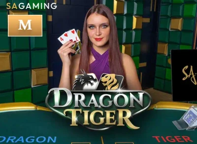 11BET M Dragon Tiger